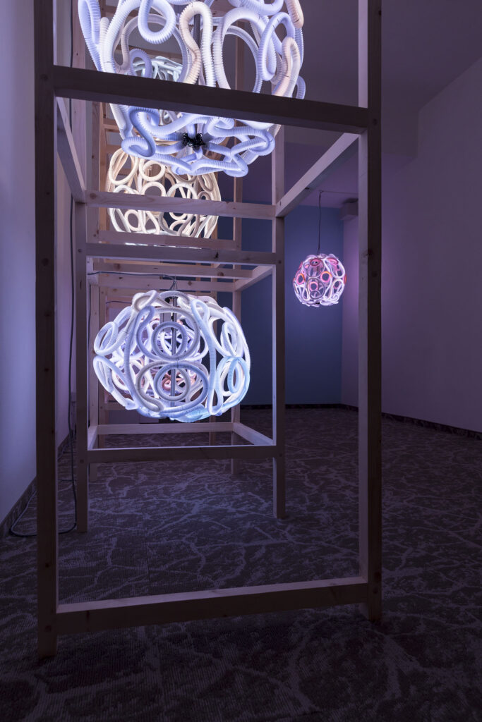 Isabelle Kirsch. KUNST IM PACHERS Vahrn-Neustift 2026. Photo Jennifer Braun